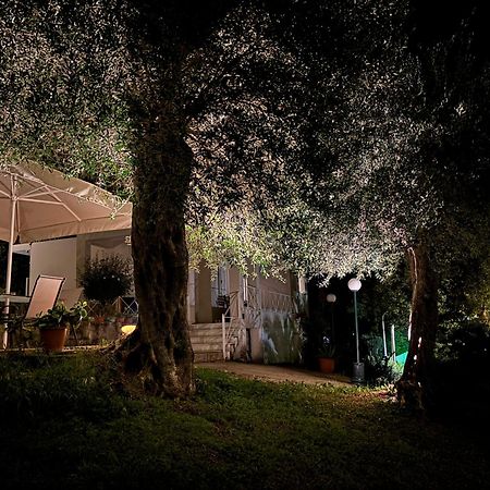 Casa Sofia Βίλα Δασιά Εξωτερικό φωτογραφία