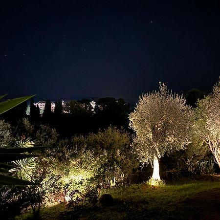 Casa Sofia Βίλα Δασιά Εξωτερικό φωτογραφία