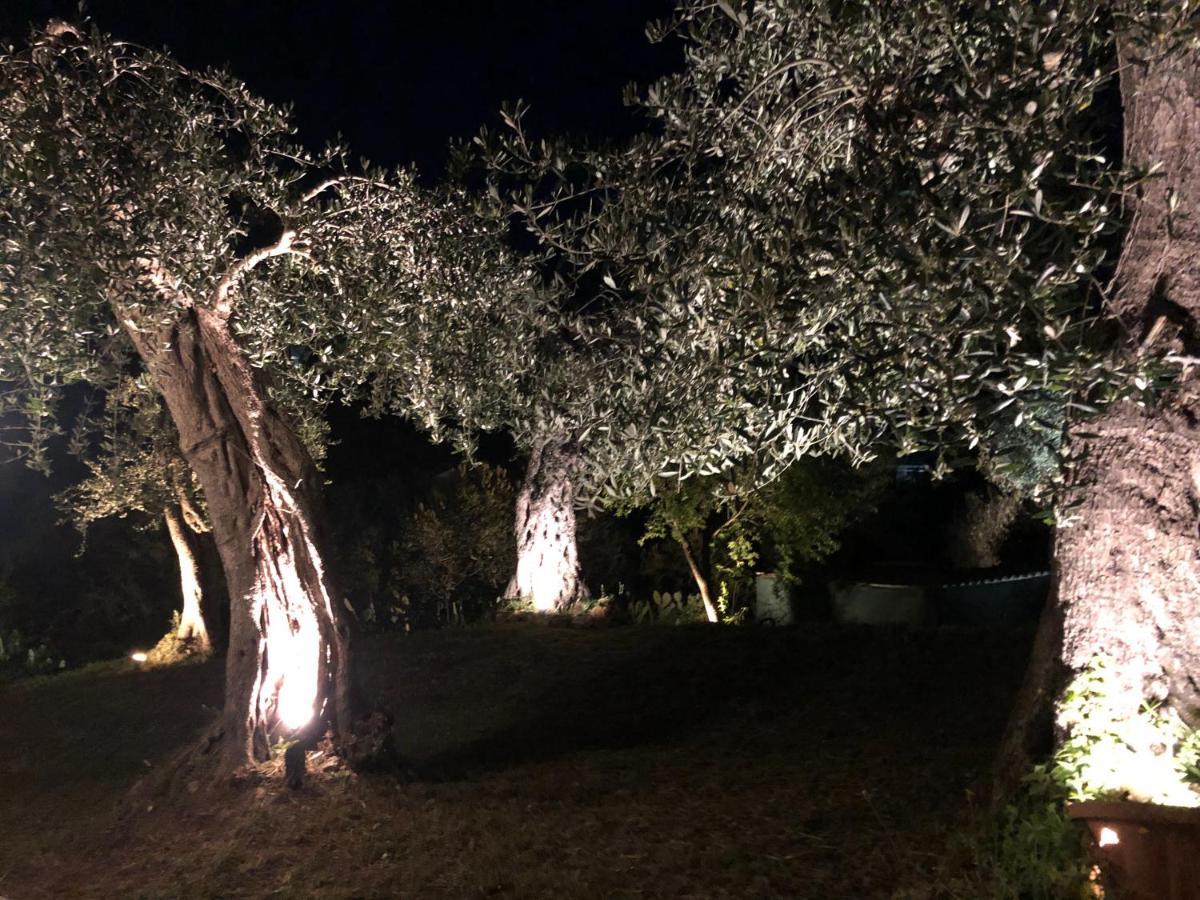 Casa Sofia Βίλα Δασιά Εξωτερικό φωτογραφία