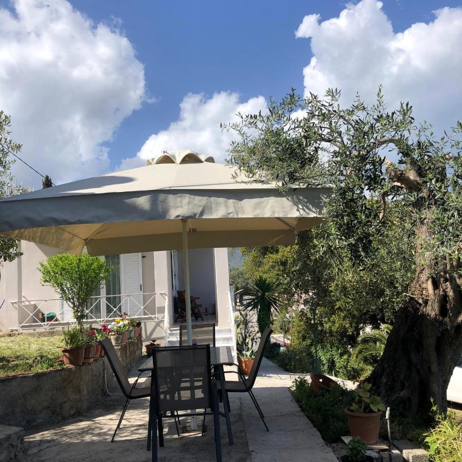 Casa Sofia Βίλα Δασιά Εξωτερικό φωτογραφία