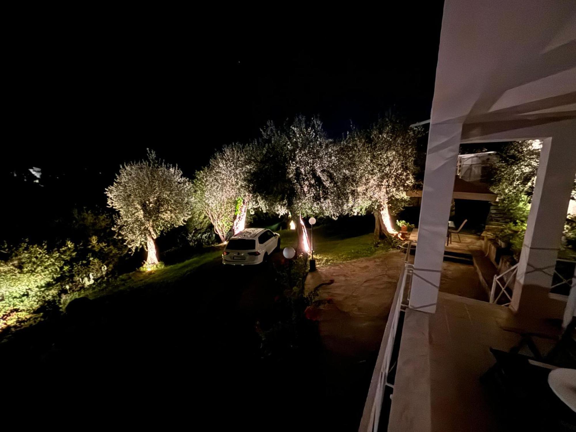 Casa Sofia Βίλα Δασιά Εξωτερικό φωτογραφία